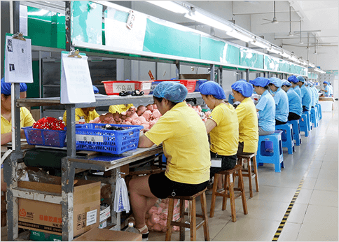 生產(chǎn)團隊 www.91