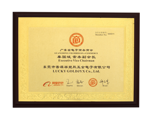 廣東省電子商務（wù）商會（huì）常務副（fù）會長