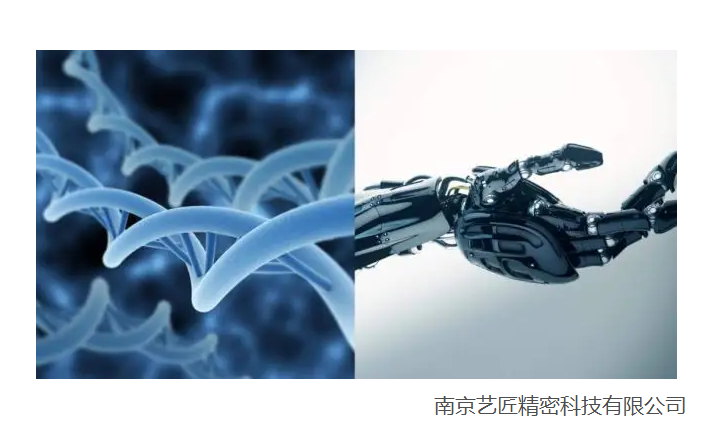 <strong>現代醫學以及生物工（gōng）程技術的精密零件器材的發展（zhǎn）</strong>